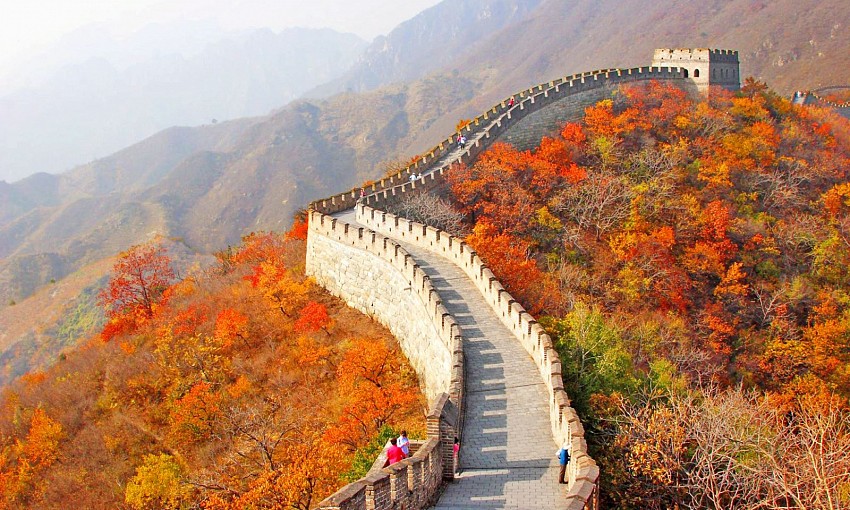 Rừng cây ngân hạnh – “Nami” thu nhỏ trong lòng thủ đô Bắc Kinh