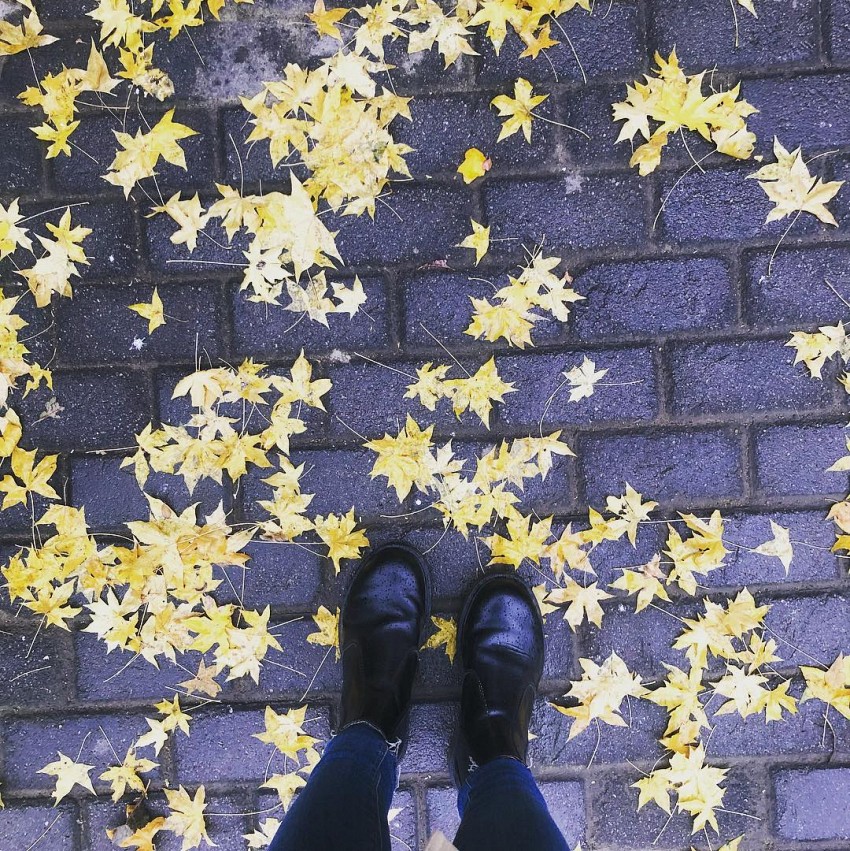 Rừng cây ngân hạnh – “Nami” thu nhỏ trong lòng thủ đô Bắc Kinh